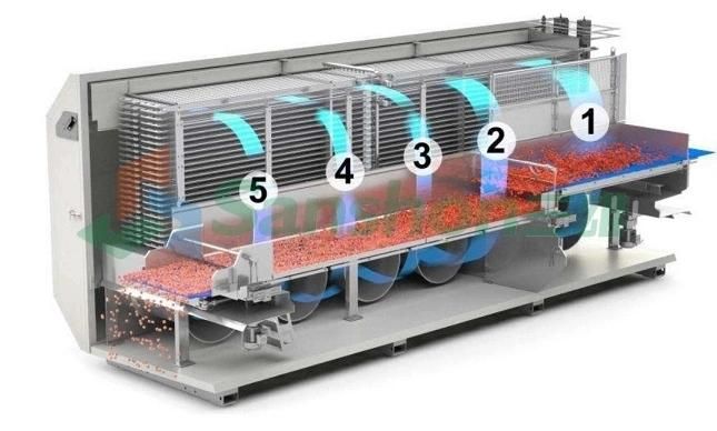 IQF Quick Freezing Machine for Fruit and Vegetables Freezer