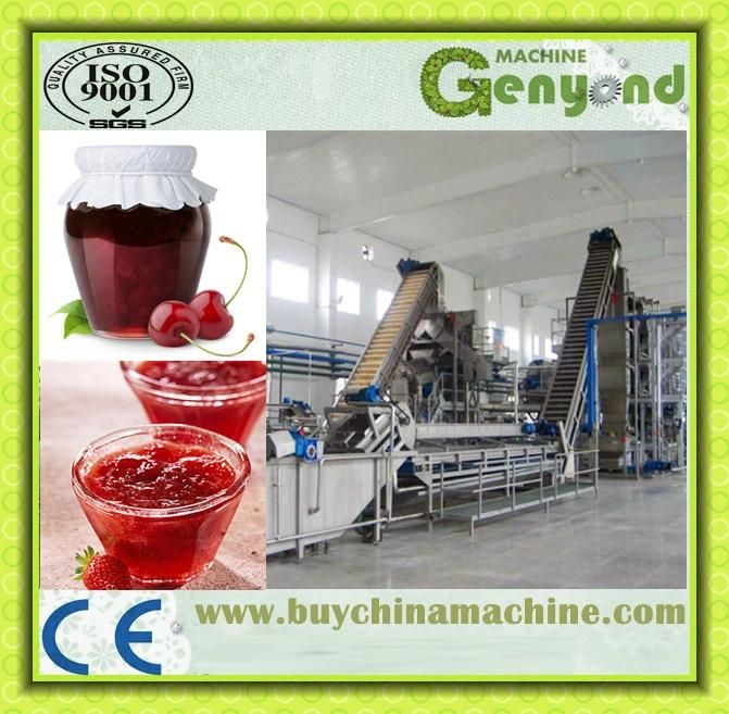 Fruit Paste/ Jam Production Machines