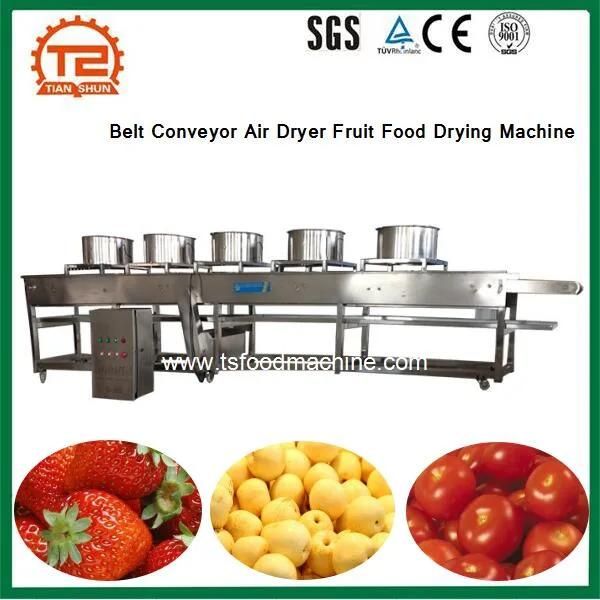 Belt Conveyor Air Dryer Fruit Food Drying Machine