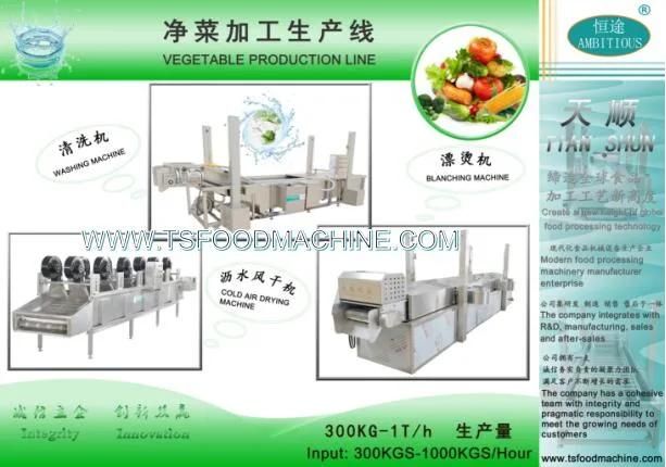 Salad Vegetables Processing Line Salade Production Line