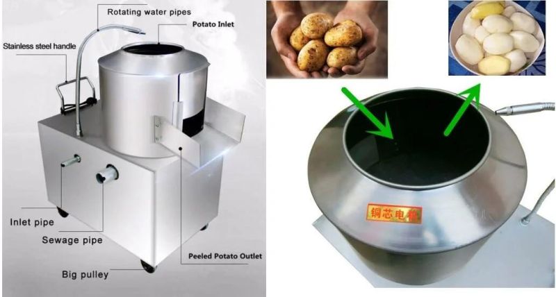 Potato Peeler Potato Washing and Peeling Machine Industrial Potato Peeling Machine with Small Volume