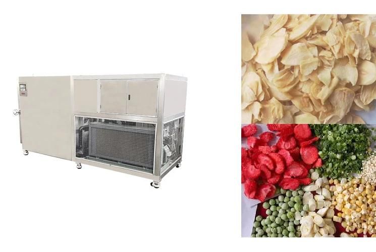 Large Scale Lyophiliser Machine Tray Freeze Dryer Freeze Dried Food Dryer