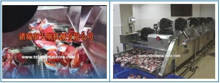 Vacuum Bag Package Food Drying Machine and Drying Dehydrator Machine