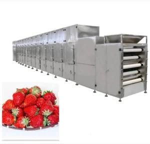 Stainless Steel Dryer Fruit Vegetable Food Drying Machine