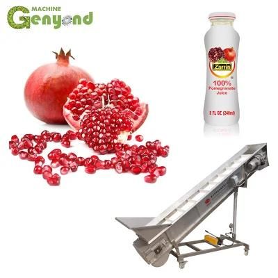 Pomegranate Juice Concentrate Making Peel Extract Processing Production Line