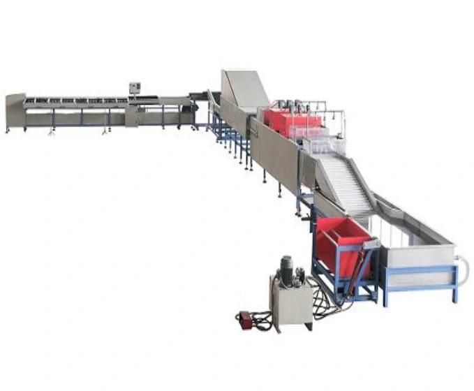 Can Customized Fruit Vegetable Washing Waxing and Grading Machine