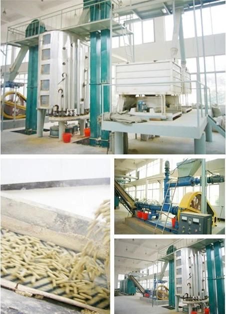 Rbo Extract Mill Equipment to Make Edible Rice Bran Oil