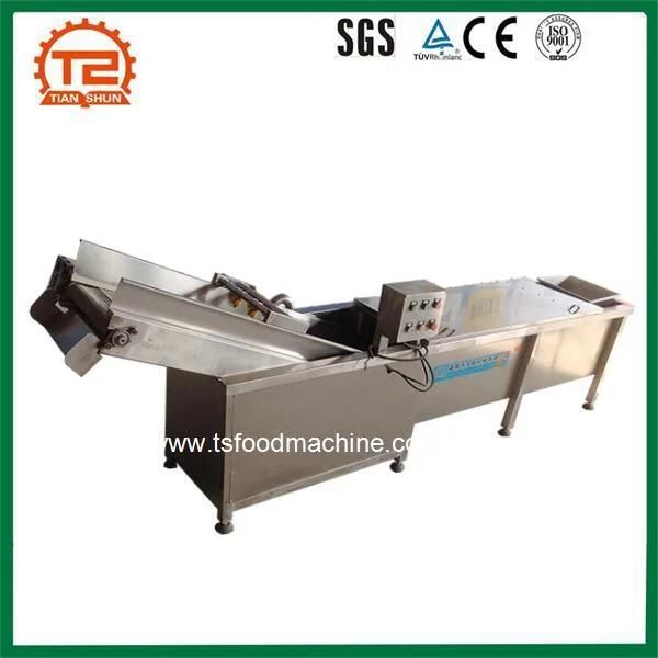Professional Fruits and Vegetable Processing Equipment
