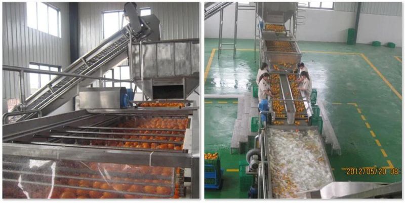 Complete Fruit Orange Juice and Oil Processing Plant/ Orange Juice and Oil Machine Automatic Production Line