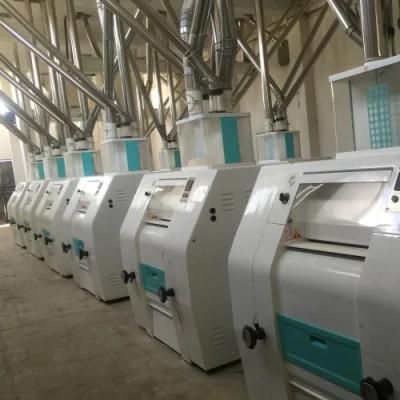 Automatic 300t/24h Maize Flour Mill Machine in South Africa