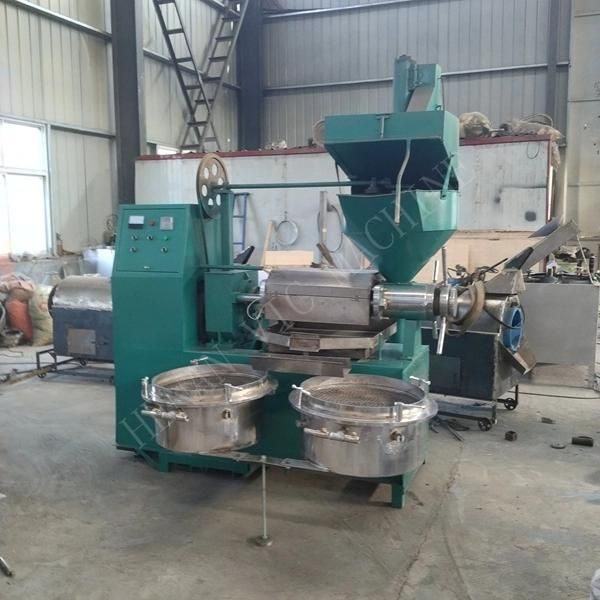 Combined Oil Mill With Screw conveyor and filter