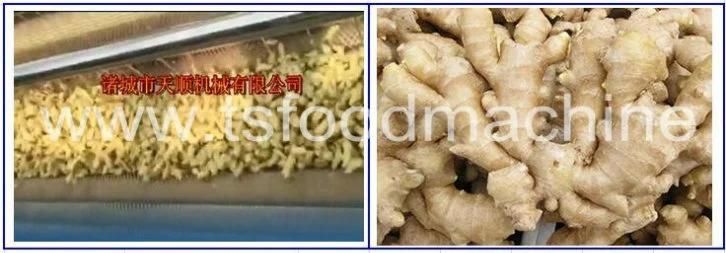 Maize Corn Washing Machine and Radish Washer Machine