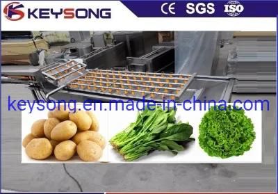 Vegetable Processing Line Vegetables Fruits Washer