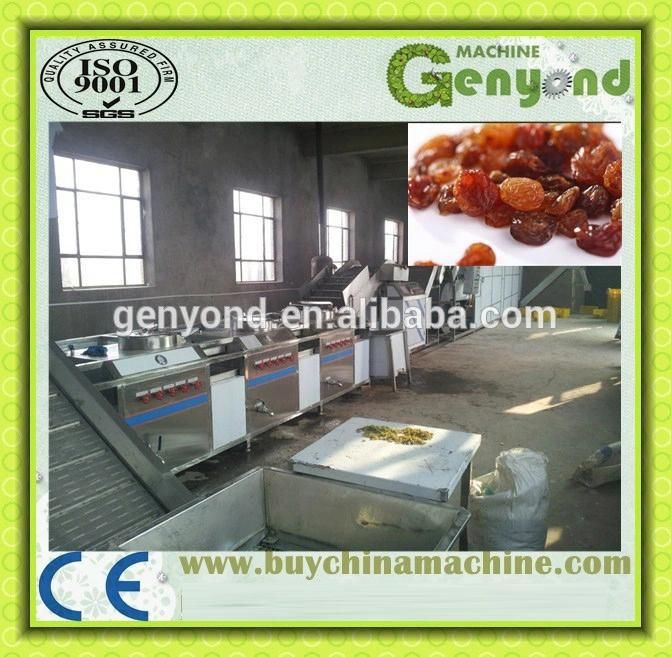 Genyond Raisin Processing Line Customized