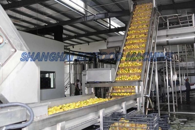 Mini Fruit Juice Production Line for 2000 Bottles Per Hour