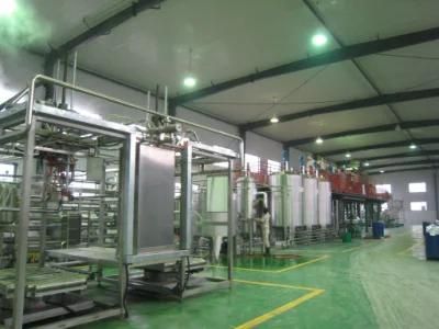 Large Mango Juice Plant Machine Manufacturer in China