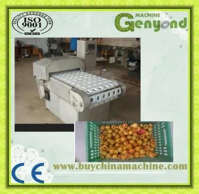 Apricot Processing Seed Remove Machine