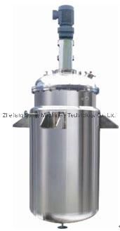 Stainless Steel Mirror-Polished Fermentation Tank with Stirring System