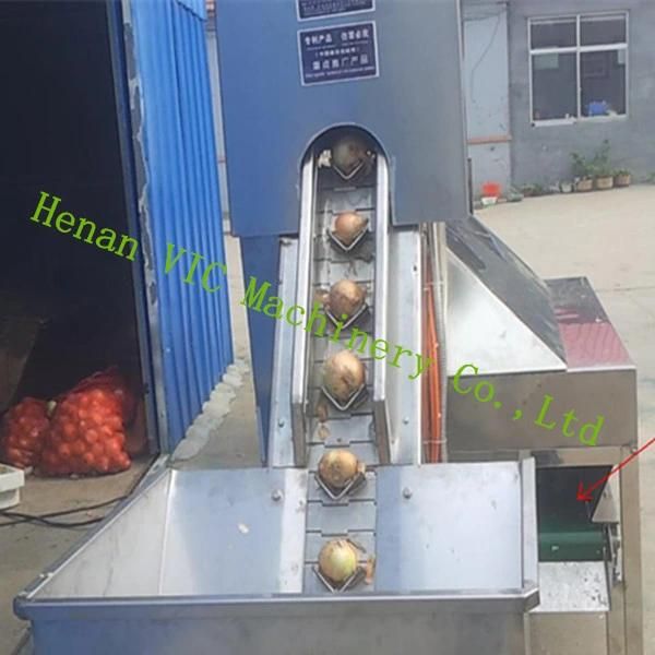 700 kg/h Stainless steel Onion Processing Machine Onion peeler