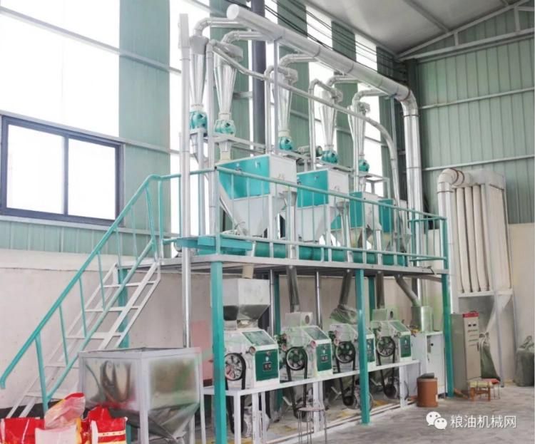 Hammer Mill Suitable for Cereals That Can Run at 100~800kg/Hr