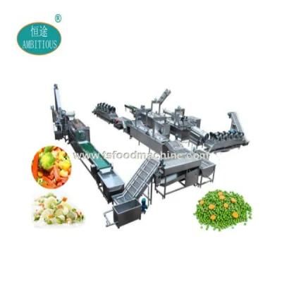 Automatic Industrial Fruit and Vegetable Washing and Drying Machine