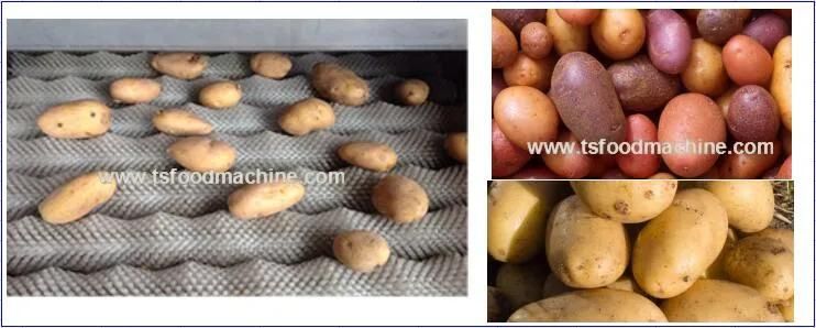 Potato Washer Washing Machine and Peeling Machine