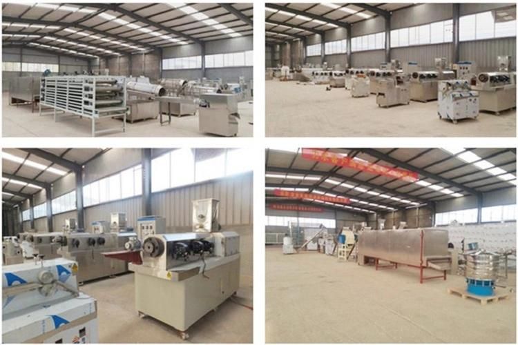 Full Automatic Workshop Food Machinery Dz140 Large-Size Double-Screw Extruder Machine