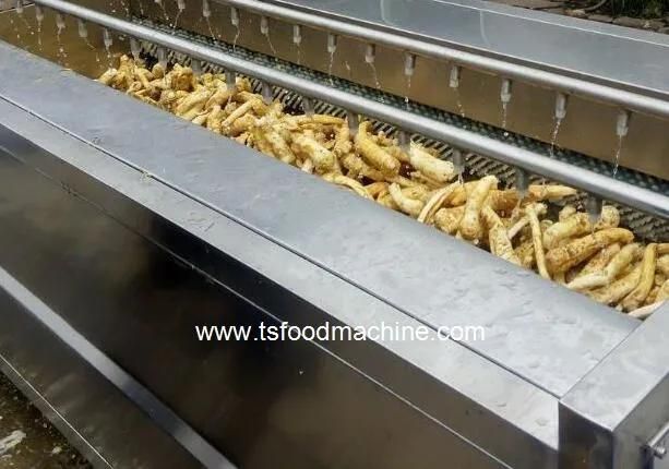 Industrial Vegetable Cleaning Equipment U-Shape Ginger Washing and Peeling Machine