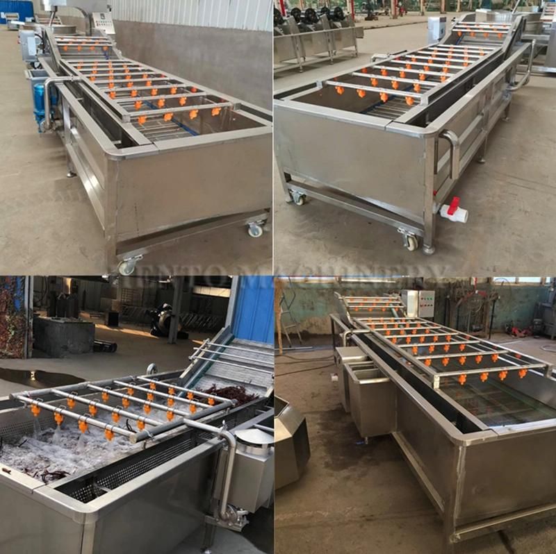 Professional Supplier Dry Freezing Fruit and Vegetable Production Line