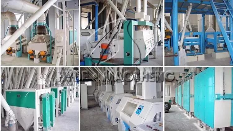 Modern Complete Set Maize/Corn Flour Milling Machine Mill Machine