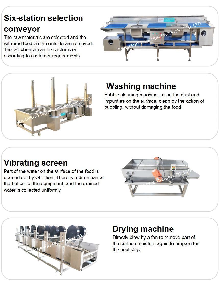 Freeze-Dried Apple Slice Processing Production Line