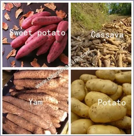 Potato Peeler Machine and Cassava Peeling Machine