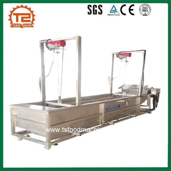 Fruit Washing Machine Industrial Stainless Steel Fruit Washer