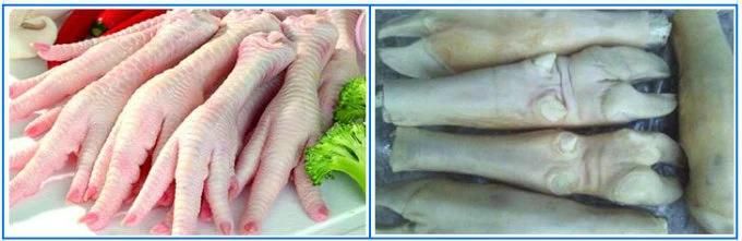 Auto Chicken Feet Beef Feet Pork Foot Blanching and Pre-Cooking Machine