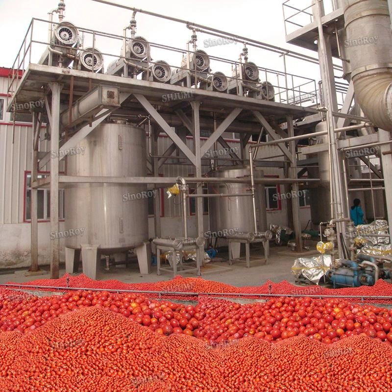 600 Tons Per Day Tomato Sauce Puree Jam Paste Ketchup Processing Line/Tomato Paste Production Line Machines