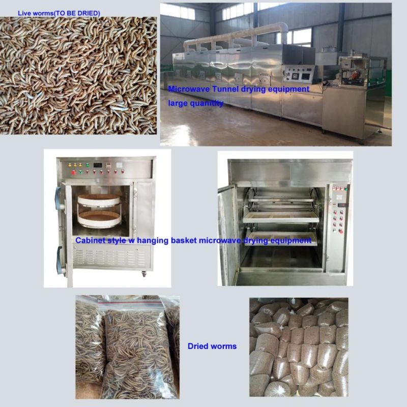 The Latest Multifunctional Full Automatic Meal Worm Sorting Machine