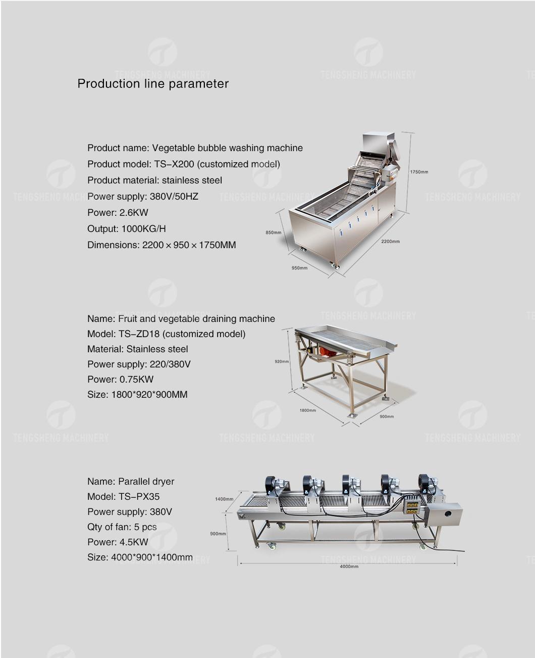 Multifunctional Food Processing Machine Fruit Vegetable Washing Washer Carob Tomato Cleaner Bubble Cleaning Vibration Drying Production Line Food Processor