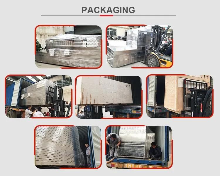 Continuous Working Drying Machinery Microwave Chia Seed Drying Baking Machine