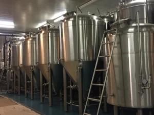 Craft Beer Brewing Equipment 30hl Industrial Brewhouse Brewery with Fermenters