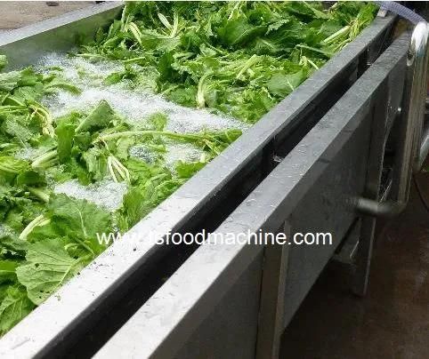 Vegetable Washing Machine Manufacturers