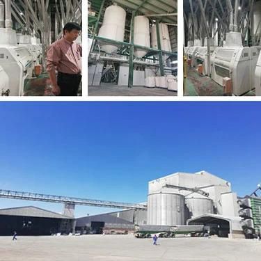 Maize Meal Machine 200t 150t 100t 50t in Africa