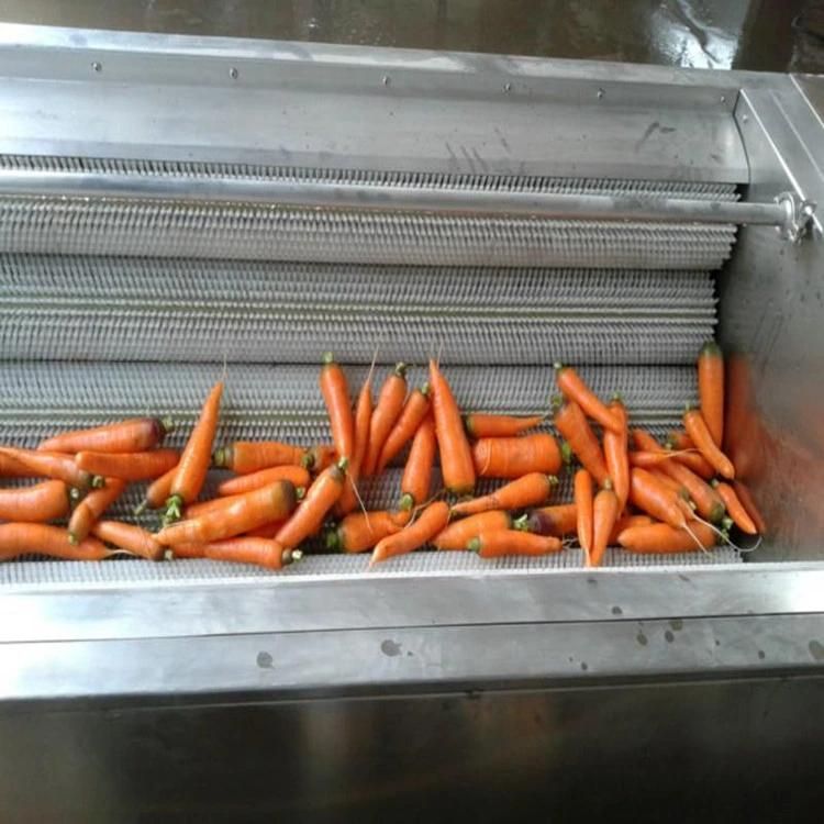 Food Grade Stainless Steel Ginger Washing and Peeling Machine