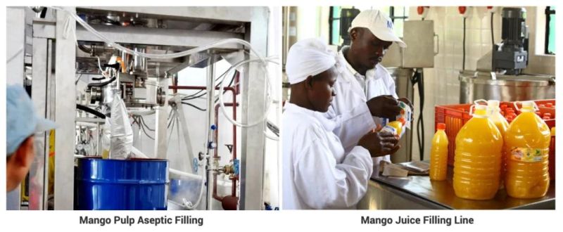Mango Paste Processing Equipment Form Chase