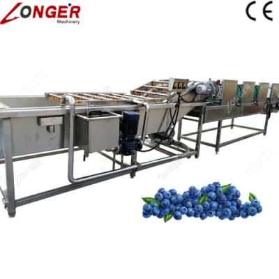 Ce Approved Washing Machine Blueberry Cleaning Machine