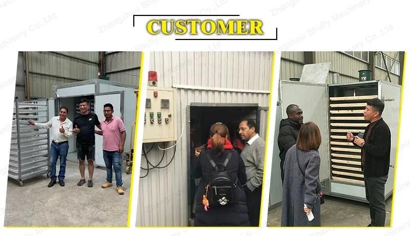 Commercial Food Dryer Watermelon Seed Flower Mango Drying Machine