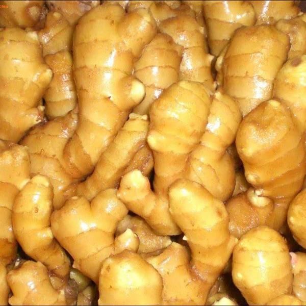 Ginger Cleaning Processing Plant Ginger Washing Machine