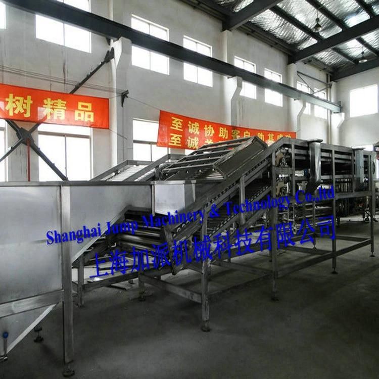 Apple Pulp Processing Machinery