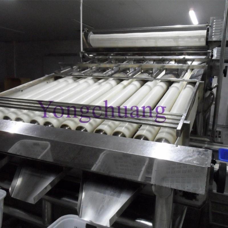 Automatic Shrimp Peeling and Deboning Machine