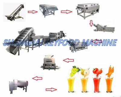 Complete Concentrated Juice Production Line with Filling Machine