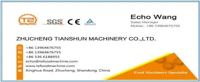 Spice Mixer Machinery Cashew Nut Pistachio Nuts and Chincken Popcorn Seasoning Flavouring Machine